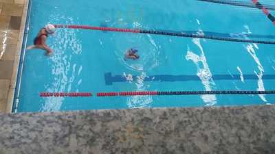 Pau No Gato Espetinhos