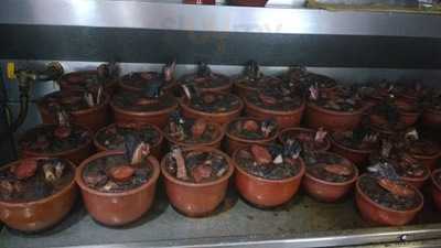 Bar E Lanchonete Monte Da Villa