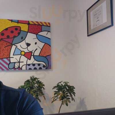 Gringos Acai Delivery