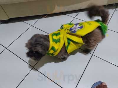 Bar E Pizzaria Dinapolis