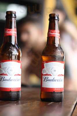 Lanchonete Flor Do Campo