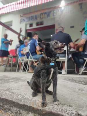 Bar E Lanches Cajaiba