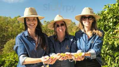 Café Fazenda Floresta