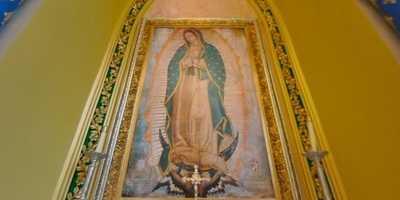 Labyrinto Gls De Tamoios