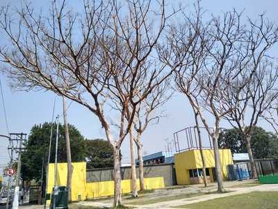 Cara Nova Bufete E Restaurante