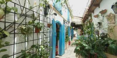 D' Pira Bar E Restaurante