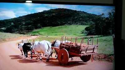 T. Teias Restaurante