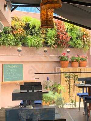 Anadu Comida Da Terra