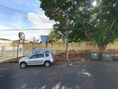 Pesque E Pague Dourado