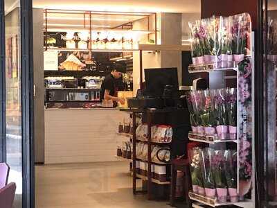 Mundo Pão Do Olivier