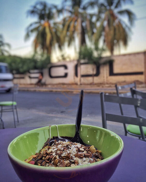 Mundo Acai