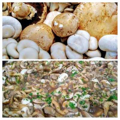 Antonieta Bistrô & Café