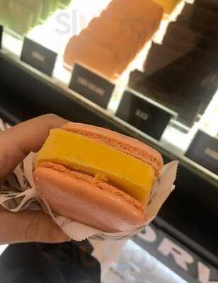 Toutsie - Delicia Em Cada Cor