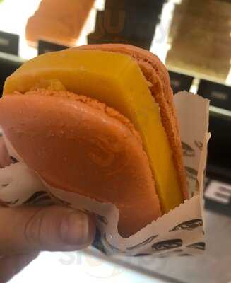 Toutsie - Delicia Em Cada Cor