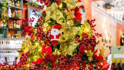 Bacalhau Vinho E Cia Itaim Bibi