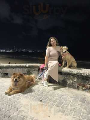 Madoska Sorvetes Artesanais