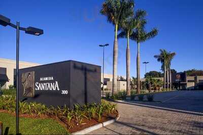 Aviva Café Artesanal