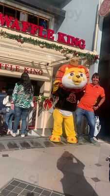 The Waffle King Gramado