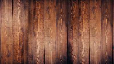 Bendito Hamburgueria