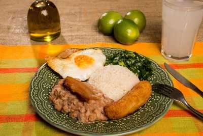 Gulla A Casa Da Dona Arlette