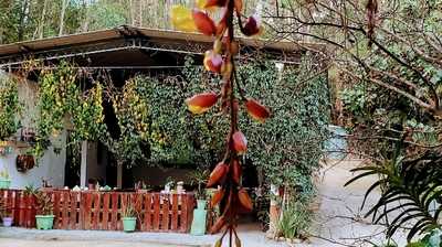 Apiário E Meliponário Ferathi