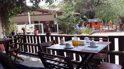 Apiário E Meliponário Ferathi