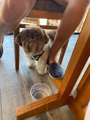 Nasc Bar & Restaurante