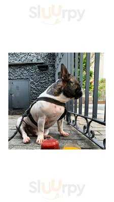 Capone Craft Beer Company