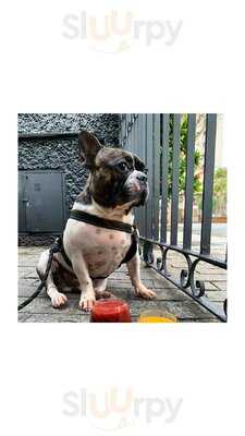 Capone Craft Beer Company