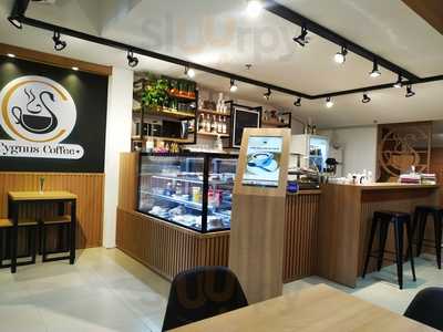 Cygnus Coffee