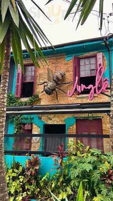 Junglê