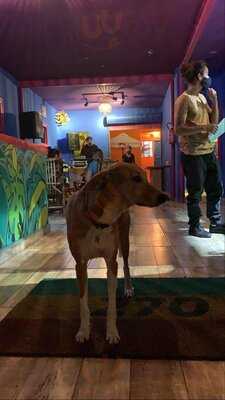 Prosa270 - Beach Bar