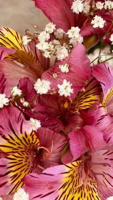 Requintte Café E Confeitaria