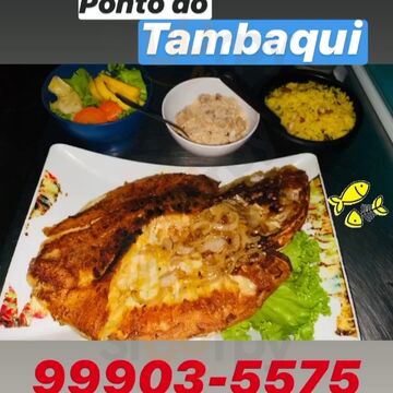 Ponto Do Tambaqui