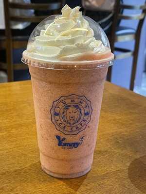 Yummy Ice