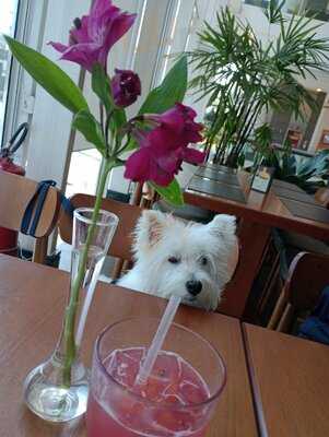 Coco Bambu Conceito São Bernardo Do Campo