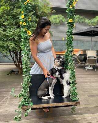 Sterna Café - Jardins