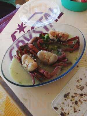 Barracbarraca O Louroa O Louro