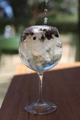 T&m Chás & Meditação