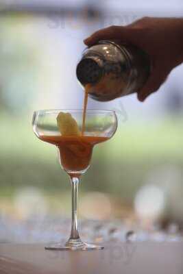 T&m Chás & Meditação