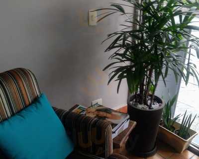 Lotus Café E Bistrô