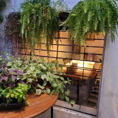 Brew & Pizza No Porão