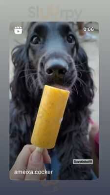 Singela Sorvetes Artesanais E Café