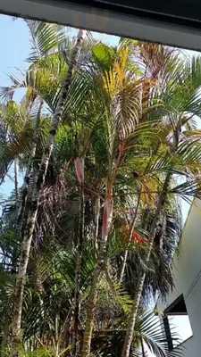 Chicken Beers Bistrô