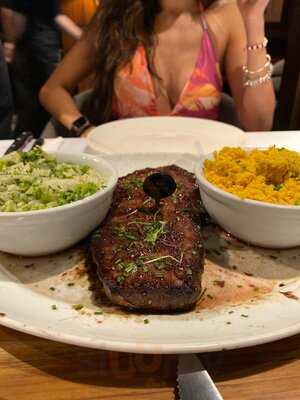 Coco Bambu Haddock Lobo Jardins