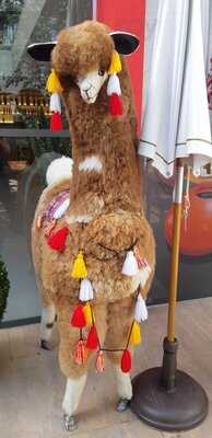 Rinconcito Peruano - Morumbi