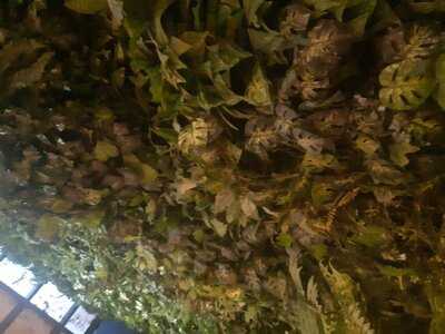 Jurassic Park Restaurante , Itaim Bibi