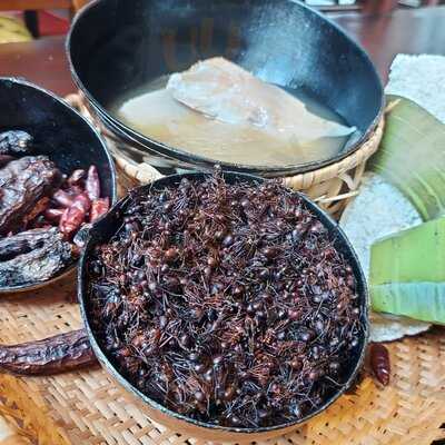 Biatuwi Casa De Comida Indigena