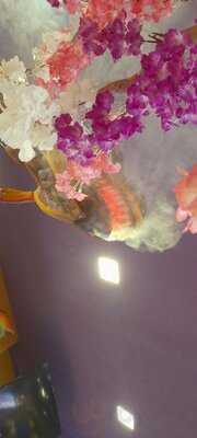 Florybal Império Dos Dragões