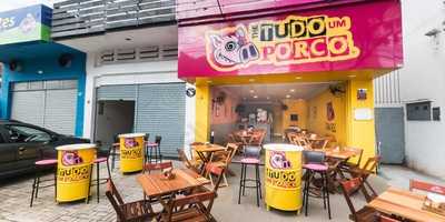 The Tudo Um Porco
